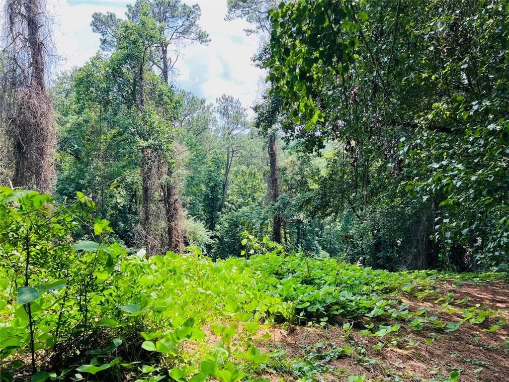 single family residence for sale at Lot 6 N Riverside Circle, Sandy Springs, GA 30328 — photo 3
