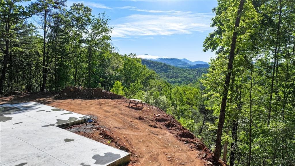 other for sale at 488 Northridge Drive, Tiger, GA 30576 — photo 5