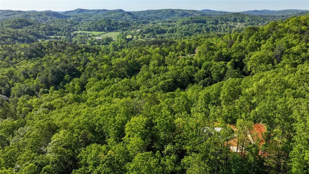 other for sale at 488 Northridge Drive, Tiger, GA 30576 — photo 6