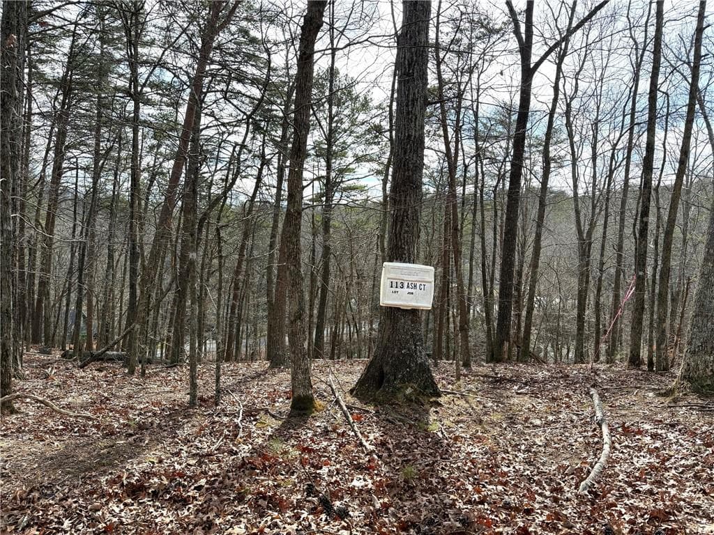 unimproved land for sale at 113 Ash Court, Waleska, GA 30183 — photo 3