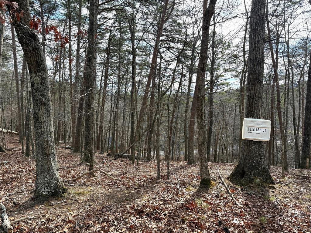 unimproved land for sale at 113 Ash Court, Waleska, GA 30183 — photo 4