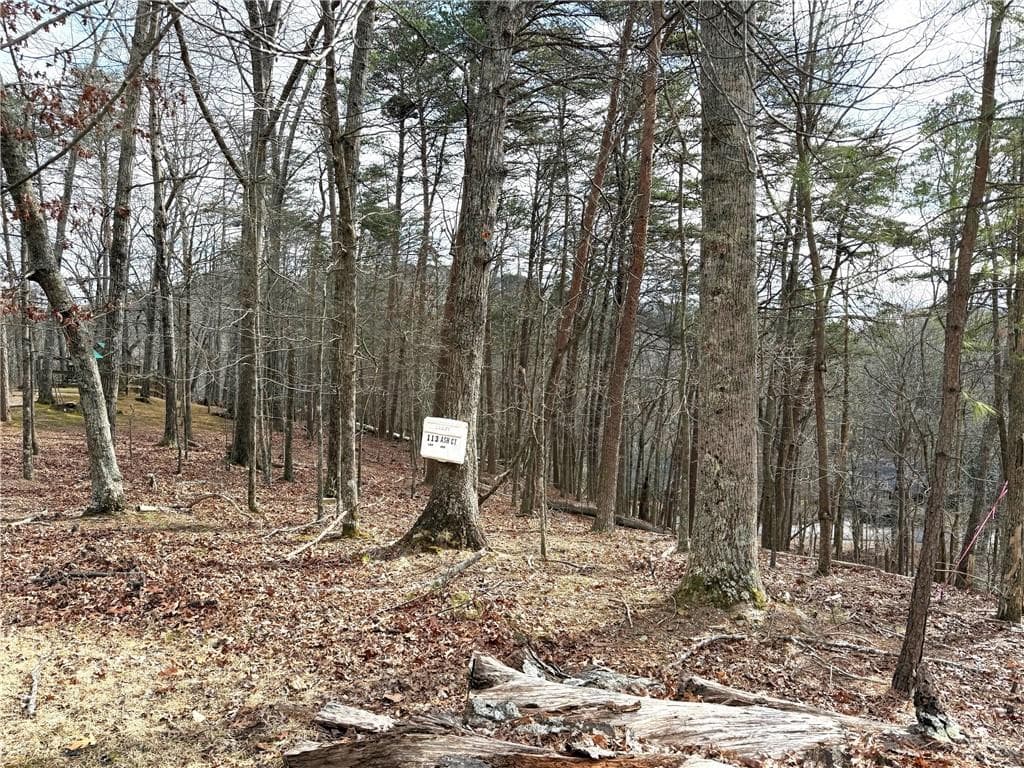unimproved land for sale at 113 Ash Court, Waleska, GA 30183 — photo 5