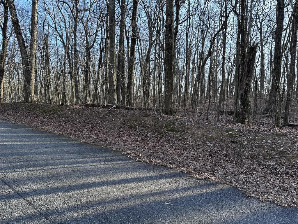 single family residence for sale at 183 St Andrews Way, Ellijay, GA 30536 — photo 5