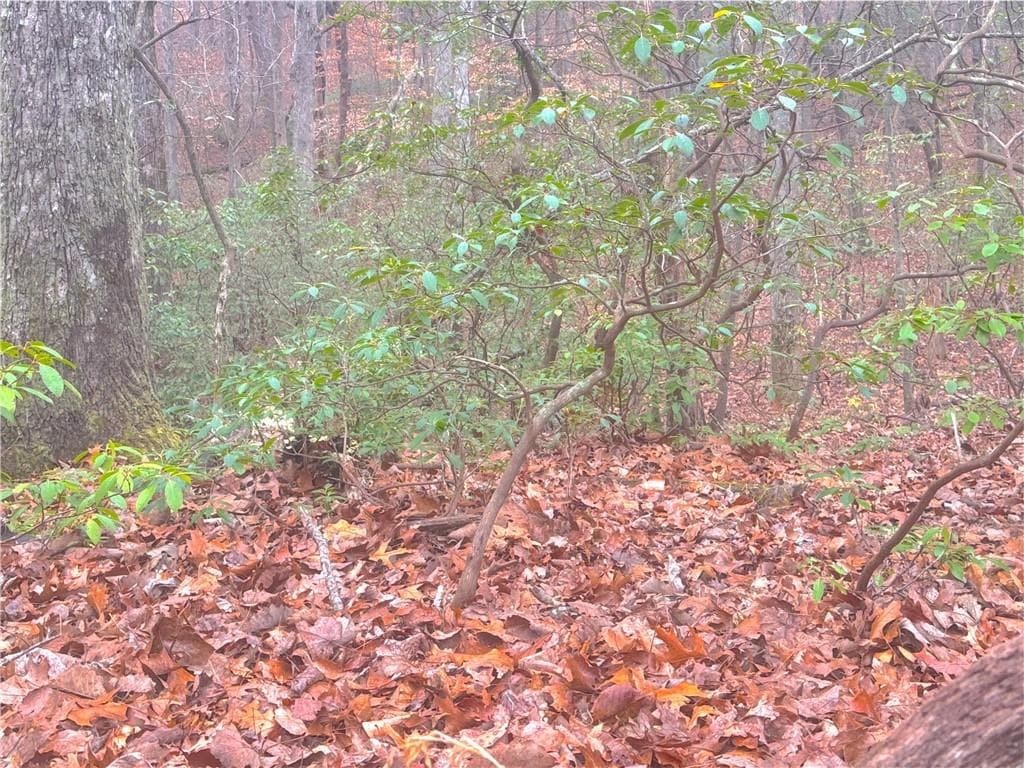 other for sale at 00 Crooked Creek, Jasper, GA 30143 — photo 2