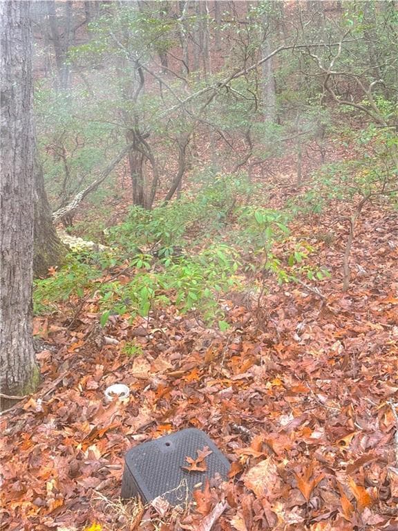other for sale at 00 Crooked Creek, Jasper, GA 30143 — photo 3