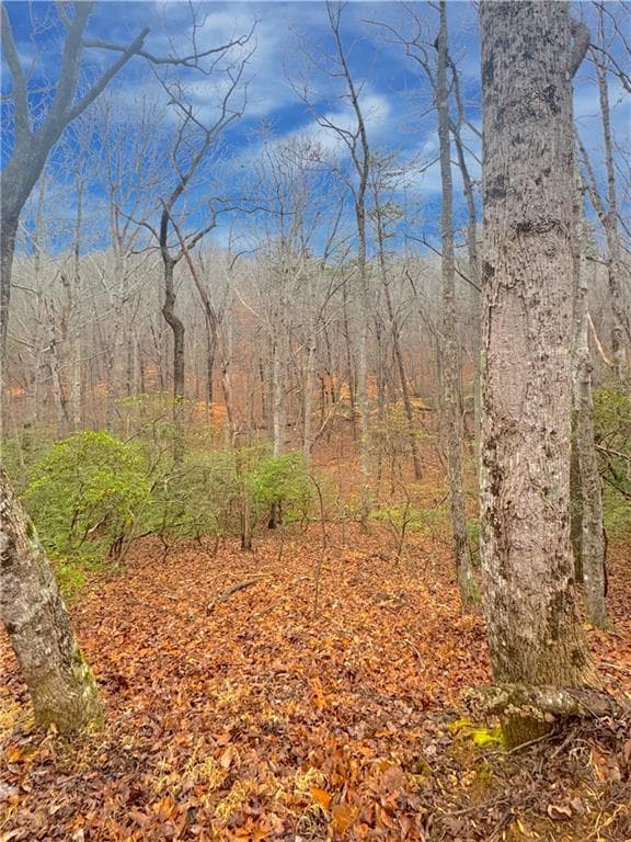 other for sale at 00 Crooked Creek, Jasper, GA 30143 — photo 4