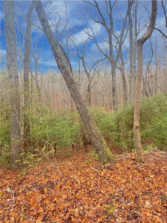 other for sale at 00 Crooked Creek, Jasper, GA 30143 — photo 5