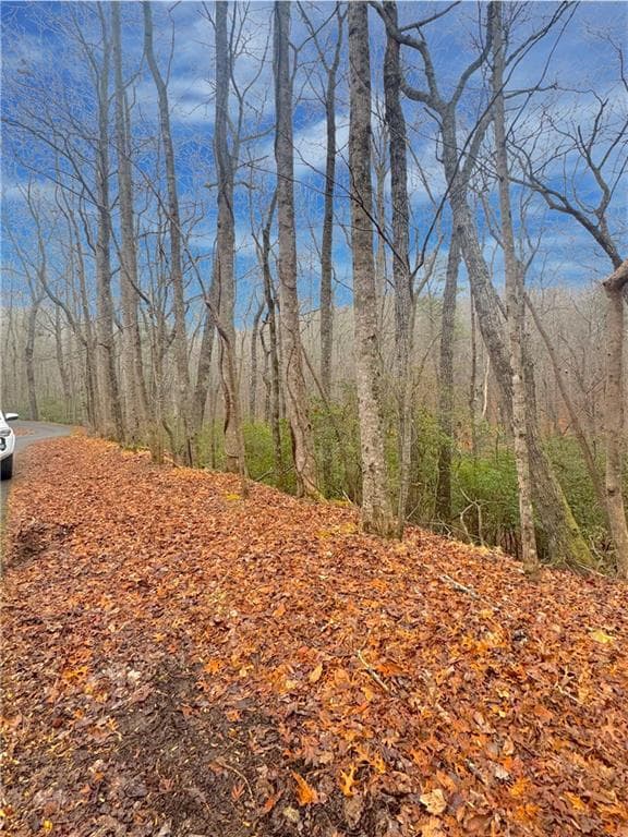 other for sale at 00 Crooked Creek, Jasper, GA 30143 — photo 6