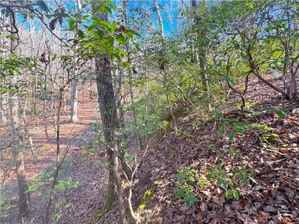 other for sale at 00 Crooked Creek, Jasper, GA 30143 — photo 9