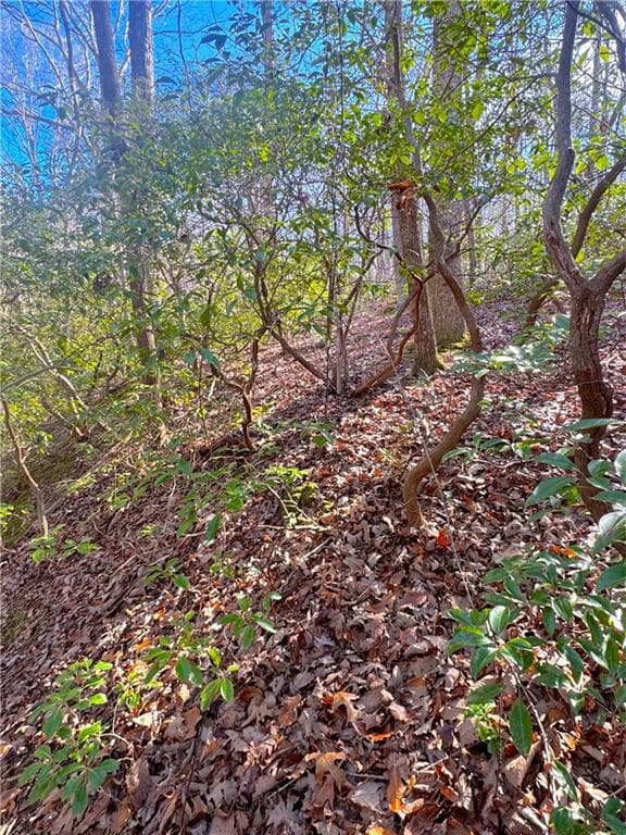 other for sale at 00 Crooked Creek, Jasper, GA 30143 — photo 10