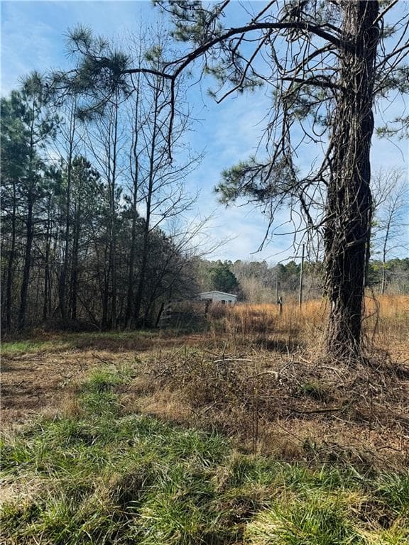 3 bedroom, 2 bathroom, 1,680 sq ft single family residence for sale at 508 Mckibben Road, Buchanan, GA 30113 — photo 5