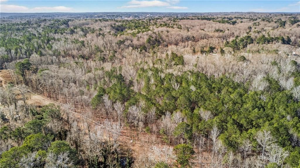 unimproved land for sale at 3907 Mckown Road, Douglasville, GA 30134 — photo 7