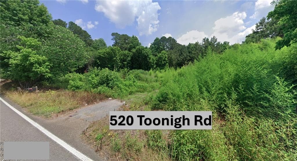 unimproved land for sale at 520 Toonigh Road, Woodstock, GA 30188 — photo 6