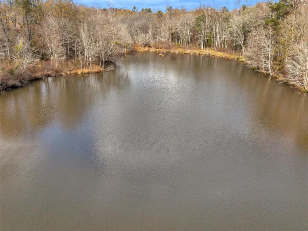 4 bedroom, 3 bathroom, 2,817 sq ft single family residence under contract at 481 Turner Road, Concord, GA 30206 — photo 6