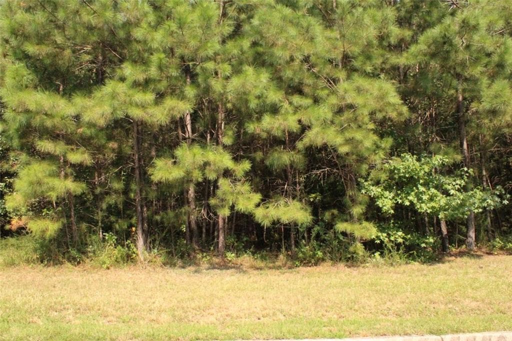 single family residence for sale at 7699 Cheviot Drive, Winston, GA 30187 — photo 8