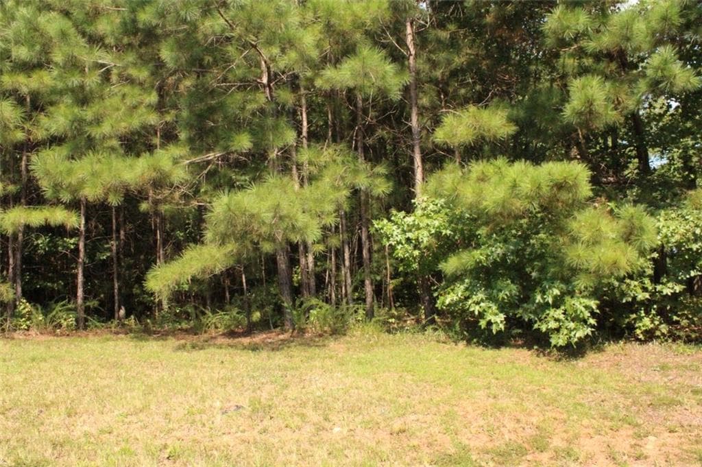 single family residence for sale at 7699 Cheviot Drive, Winston, GA 30187 — photo 9