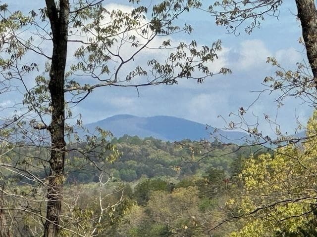 unimproved land for sale at TRACT1 Panorama, Dahlonega, GA 30533 — photo 1 of 5