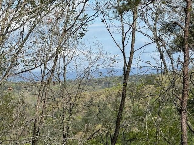 unimproved land for sale at TRACT1 Panorama, Dahlonega, GA 30533 — photo 3