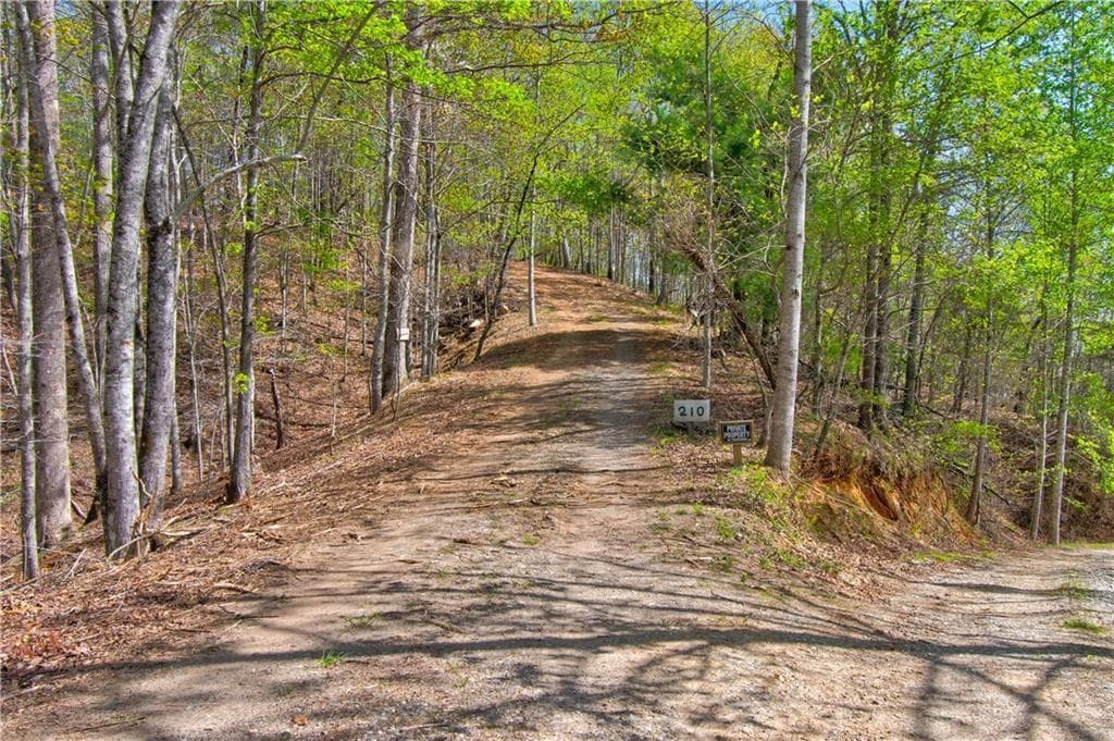 unimproved land for sale at TRACT1 Panorama, Dahlonega, GA 30533 — photo 4