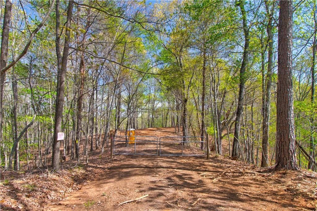 unimproved land for sale at TRACT1 Panorama, Dahlonega, GA 30533 — photo 5
