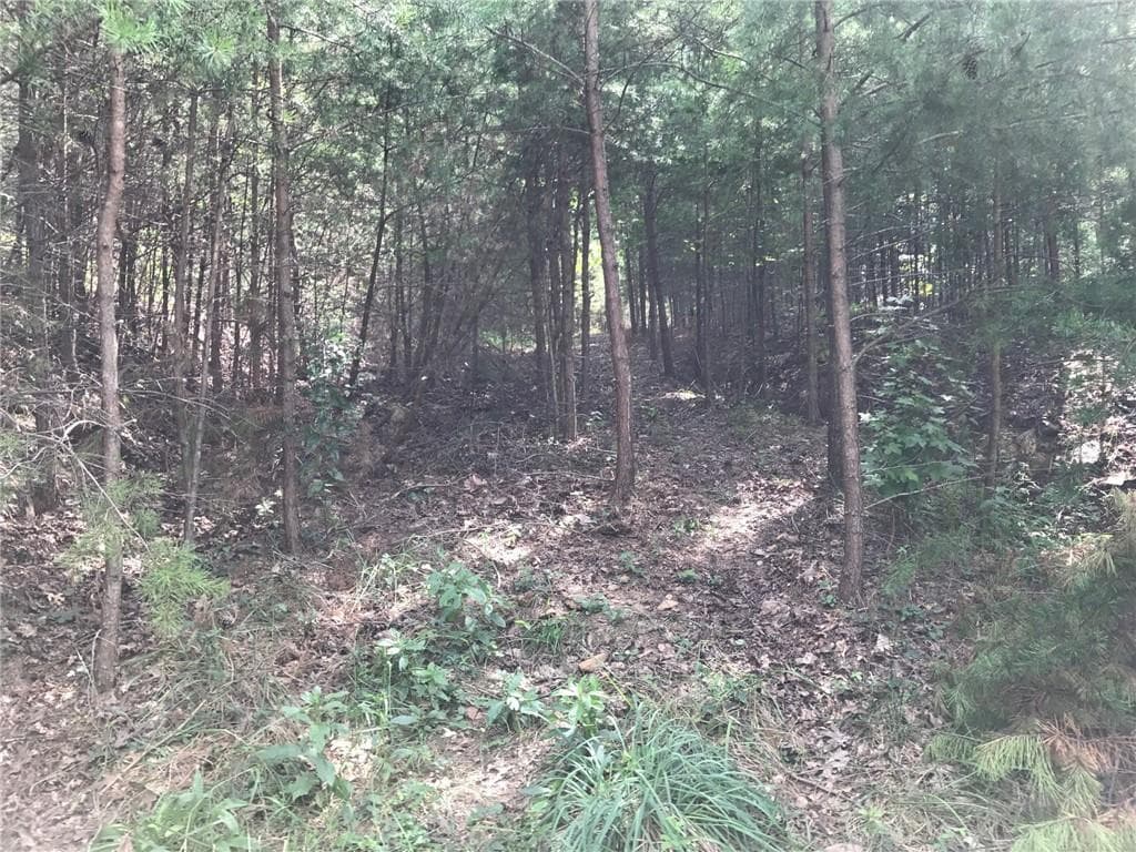 single family residence for sale at 278 Vista View Parkway, Jasper, GA 30143 — photo 5