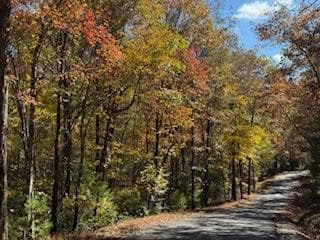 single family residence sold at LOT 9 Peter Knob Road, Blue Ridge, GA 30513