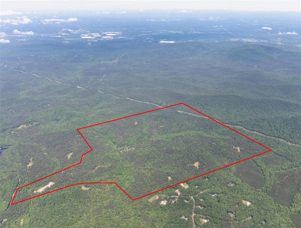 unimproved land for sale at 1600 White Road, White, GA 30284 — photo 3