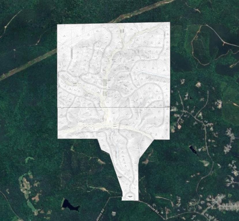 unimproved land for sale at 1600 White Road, White, GA 30284 — photo 4