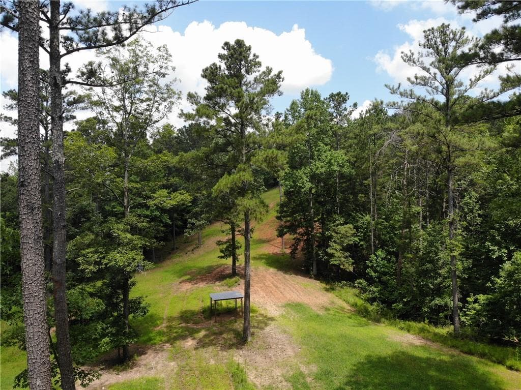 unimproved land for sale at 1600 White Road, White, GA 30284 — photo 7