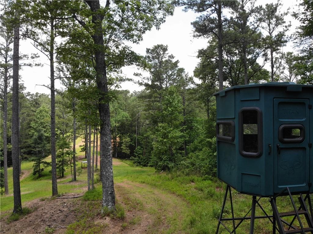unimproved land for sale at 1600 White Road, White, GA 30284 — photo 8