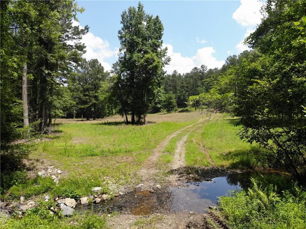 unimproved land for sale at 1600 White Road, White, GA 30284 — photo 9