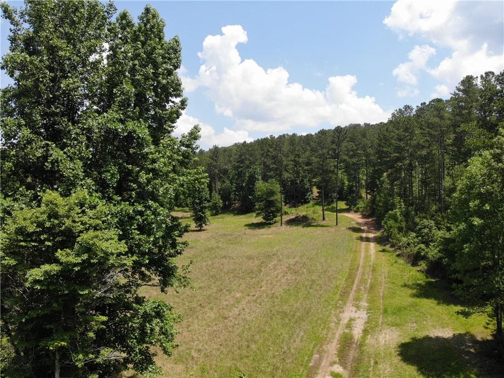 unimproved land for sale at 1600 White Road, White, GA 30284 — photo 10