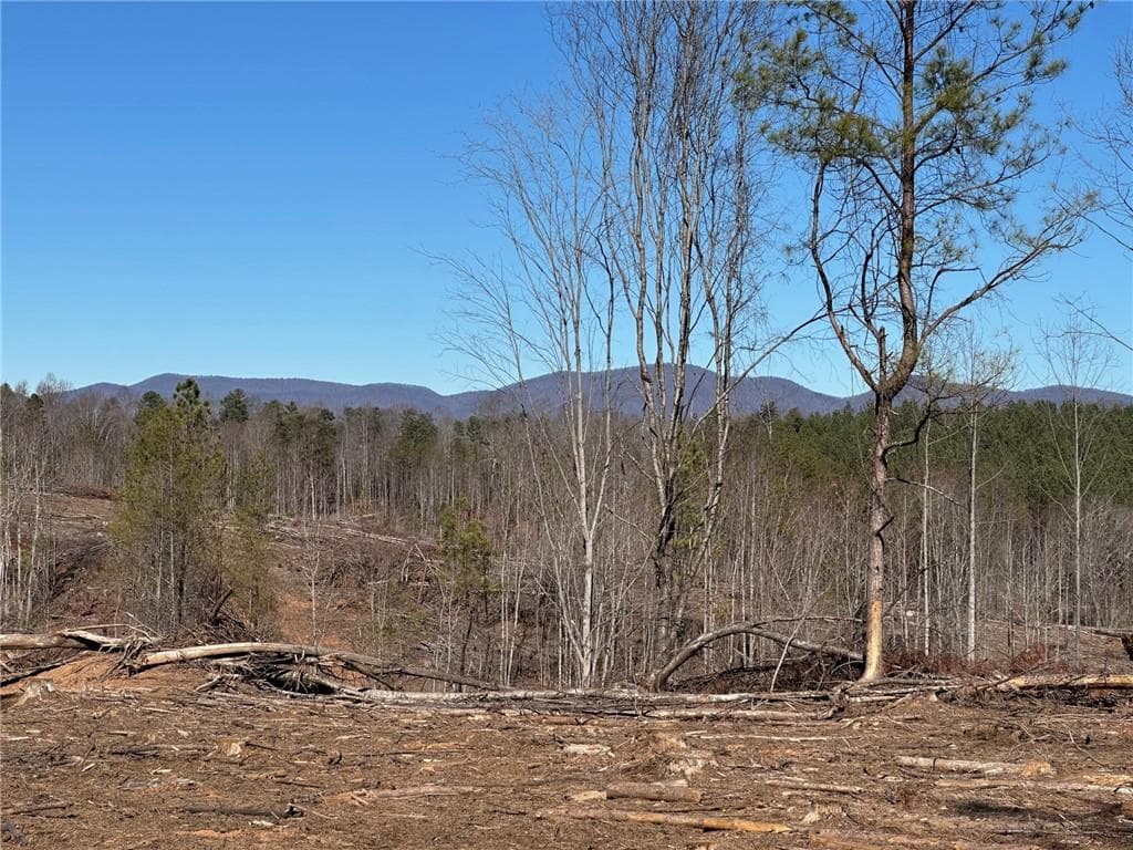 475 Larmon Forks Rd, Dahlonega, GA 30533 — most recent listing photo