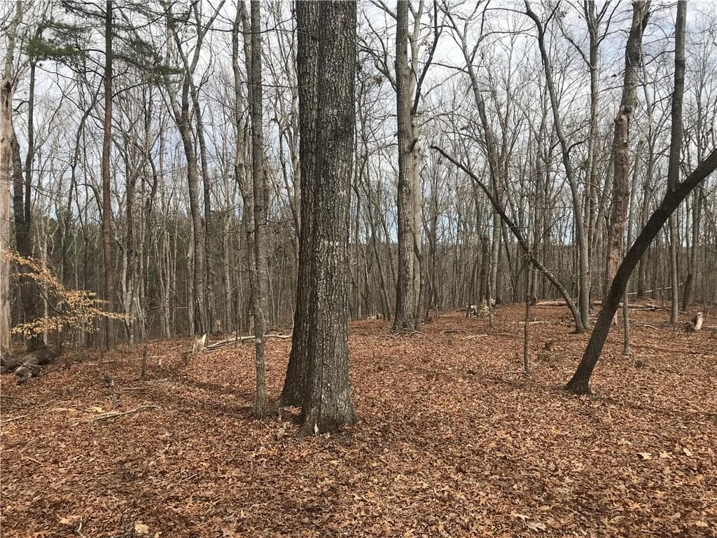 2 bedroom other for sale at 2255 Mountain Road, Milton, GA 30004 — photo 3