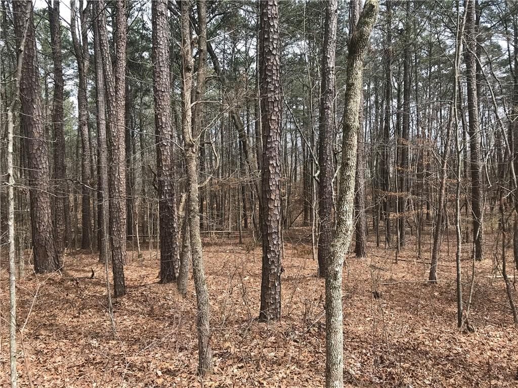 2 bedroom other for sale at 2255 Mountain Road, Milton, GA 30004 — photo 5