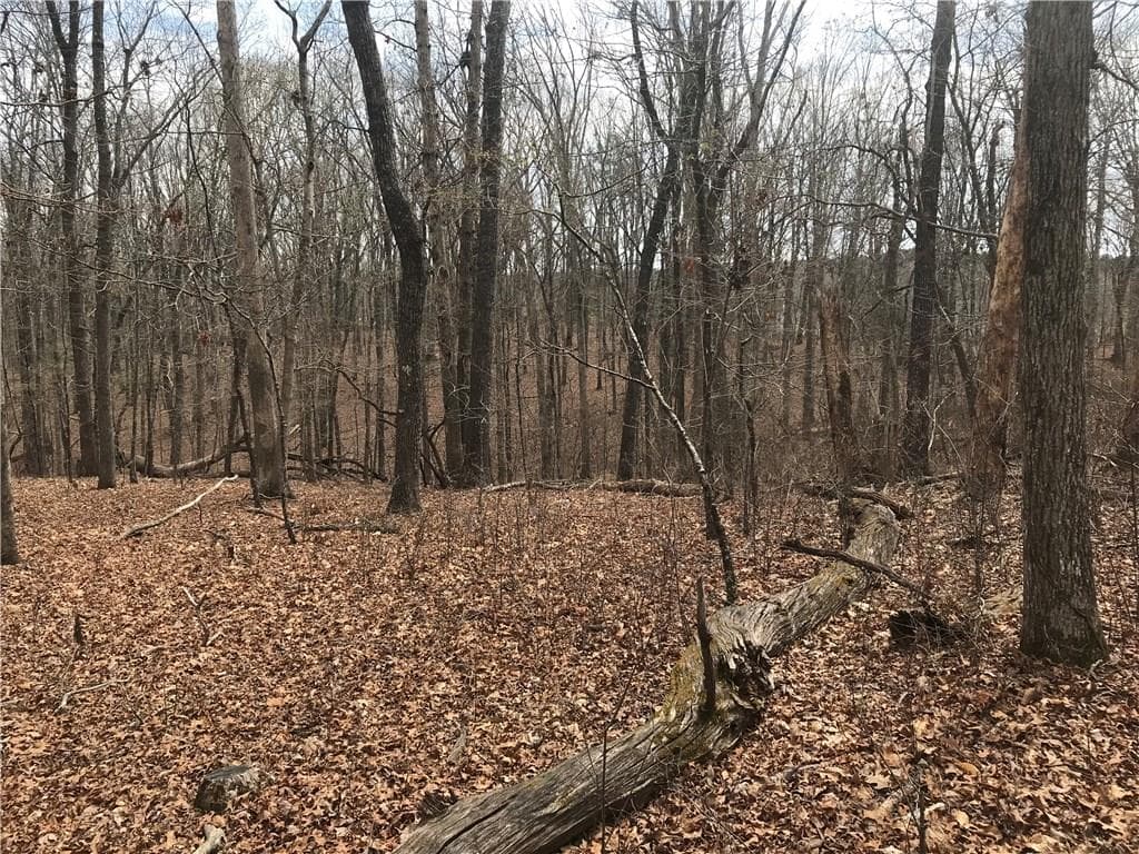 2 bedroom other for sale at 2255 Mountain Road, Milton, GA 30004 — photo 6