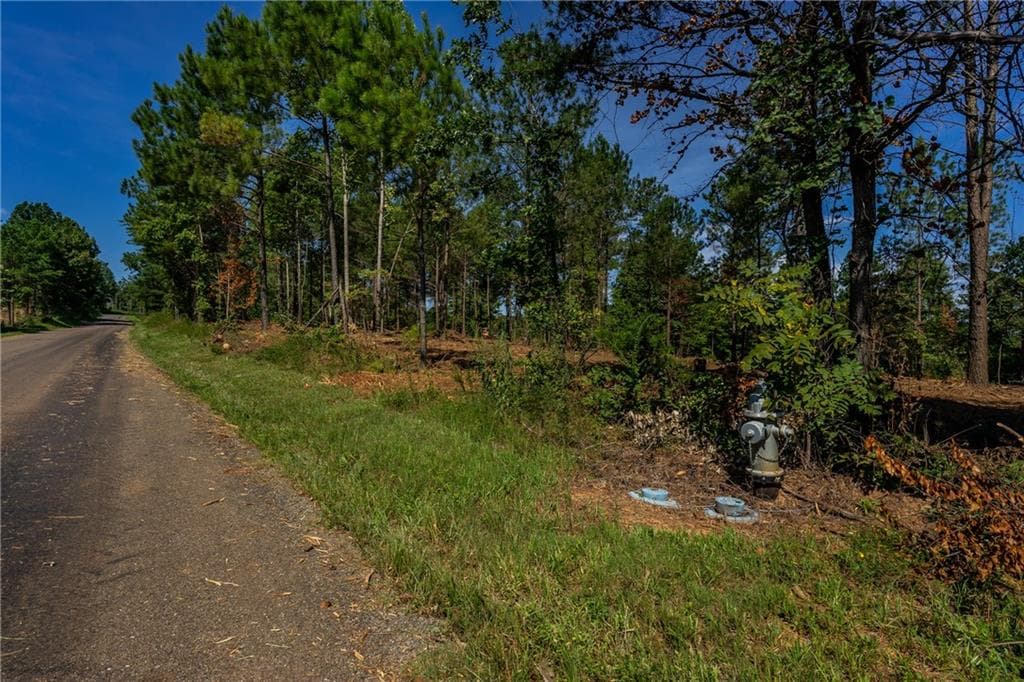 single family residence for sale at 1 Young Loop, Fairmount, GA 30139 — photo 2
