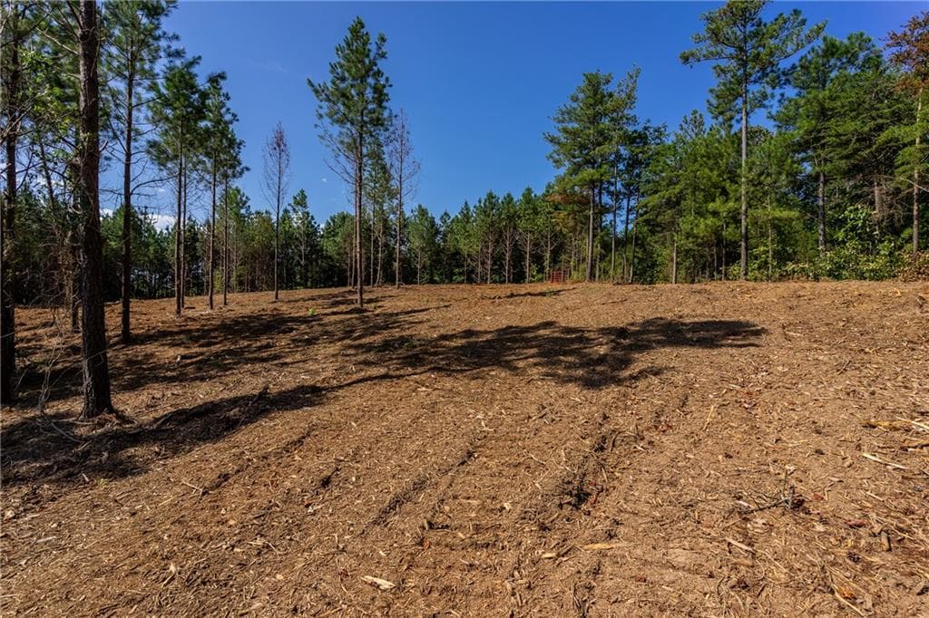 single family residence for sale at 1 Young Loop, Fairmount, GA 30139 — photo 3