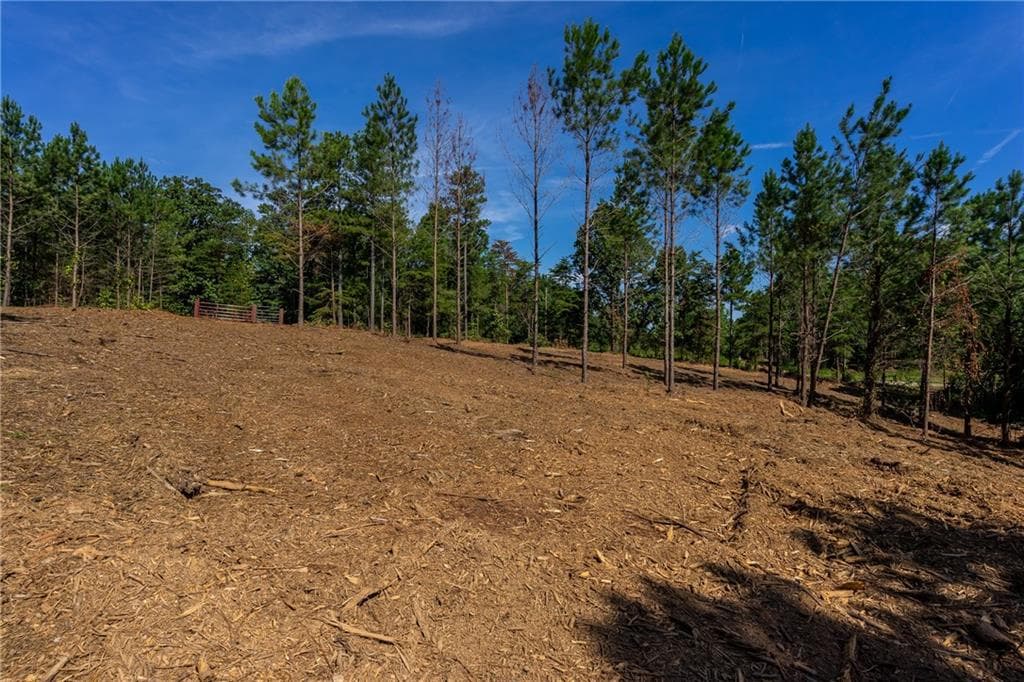single family residence for sale at 1 Young Loop, Fairmount, GA 30139 — photo 7