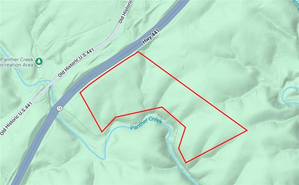 unimproved land for sale at 0 441 Old Hist Highway, Clarkesville, GA 30523 — photo 4