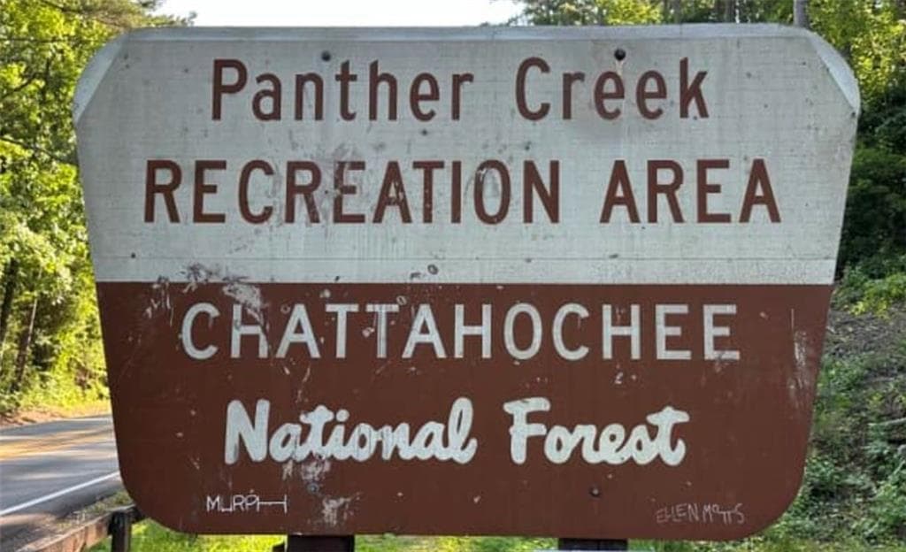unimproved land for sale at 0 441 Old Hist Highway, Clarkesville, GA 30523 — photo 7