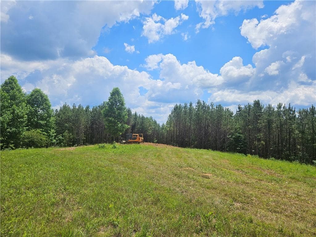 unimproved land for sale at 2 Young Loop, Fairmount, GA 30139 — photo 1 of 8
