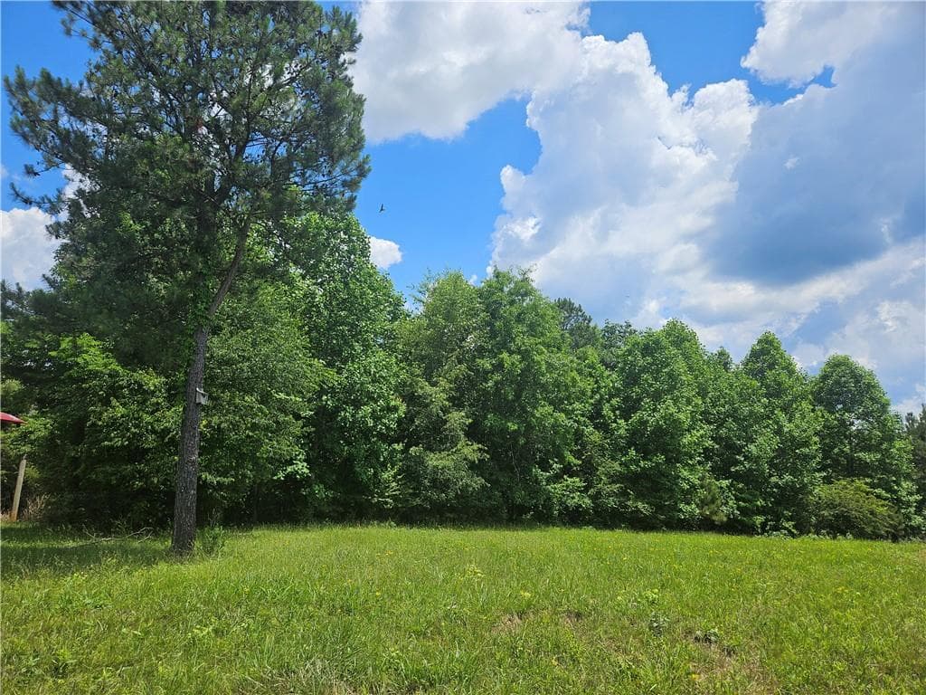 unimproved land for sale at 2 Young Loop, Fairmount, GA 30139 — photo 2