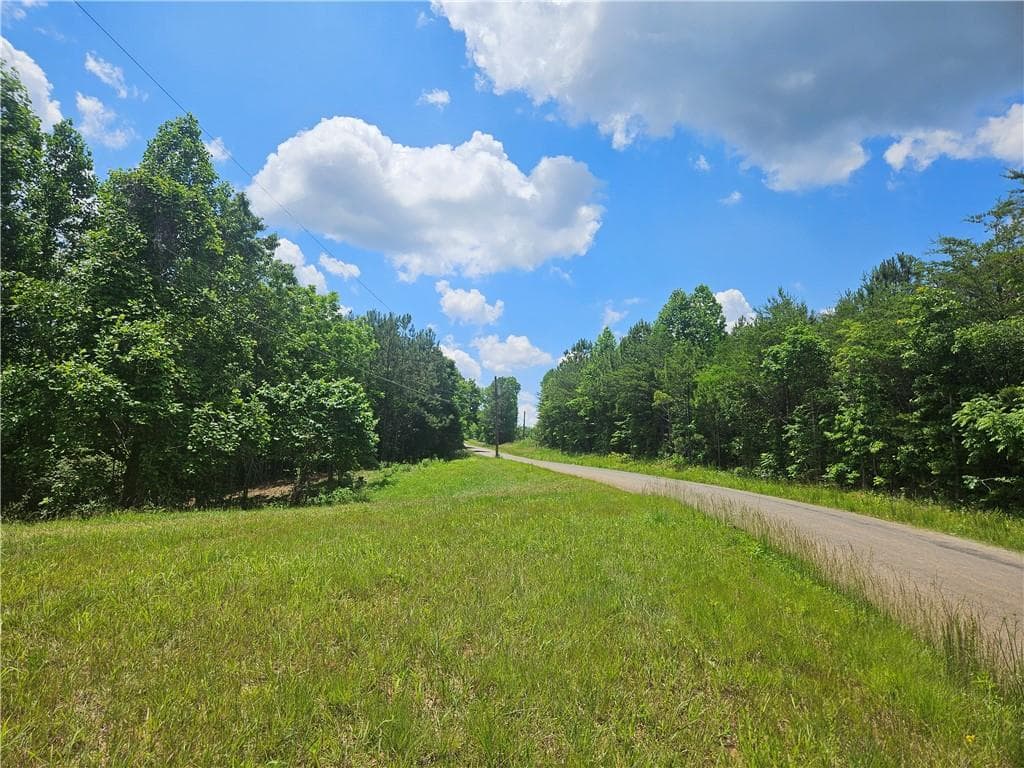 unimproved land for sale at 2 Young Loop, Fairmount, GA 30139 — photo 3