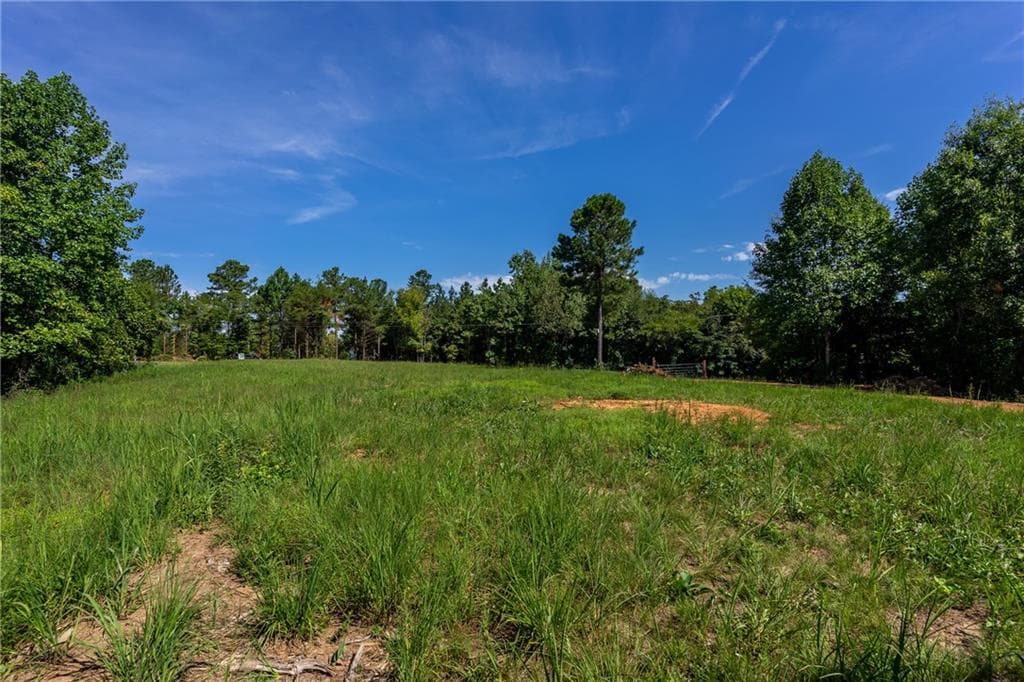unimproved land for sale at 2 Young Loop, Fairmount, GA 30139 — photo 6