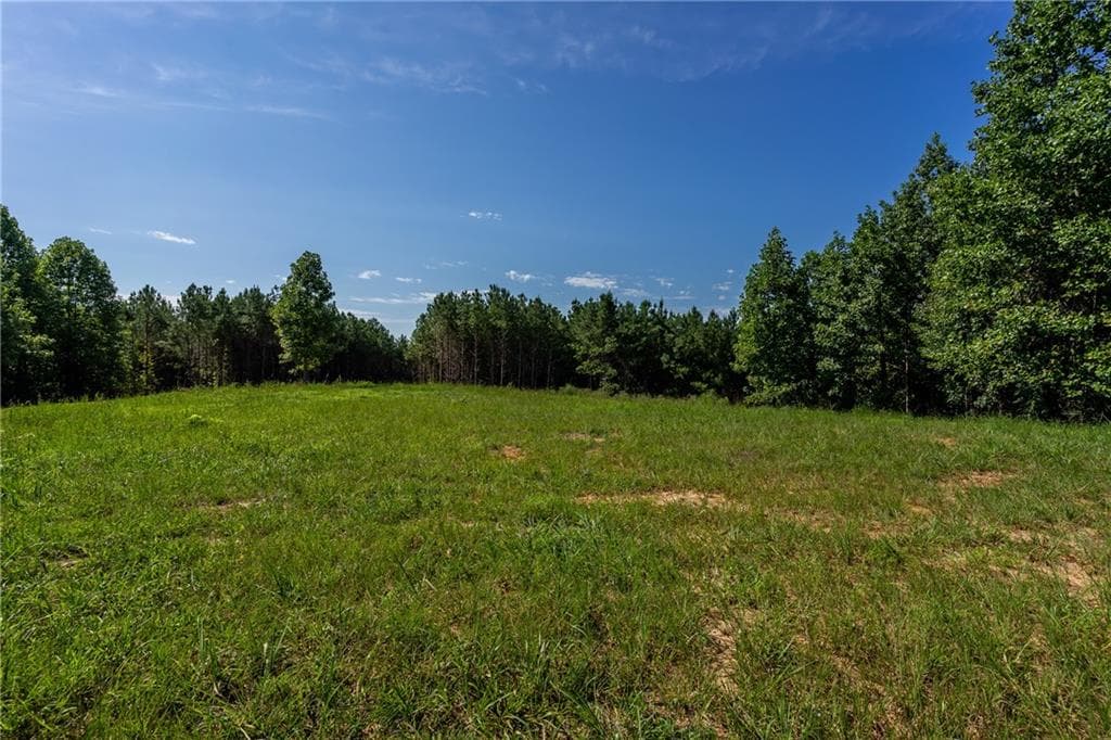 unimproved land for sale at 2 Young Loop, Fairmount, GA 30139 — photo 7