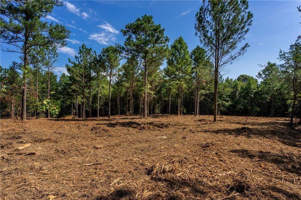 unimproved land for sale at 2 Young Loop, Fairmount, GA 30139 — photo 8