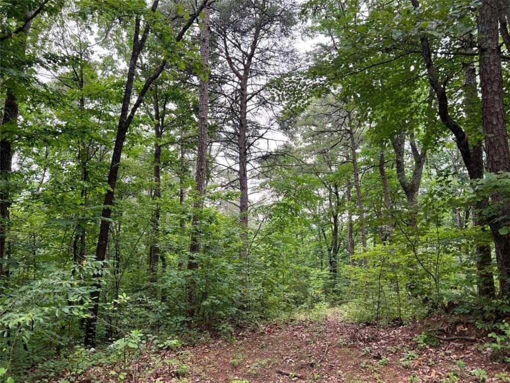 198 Log Round Mountain Trail