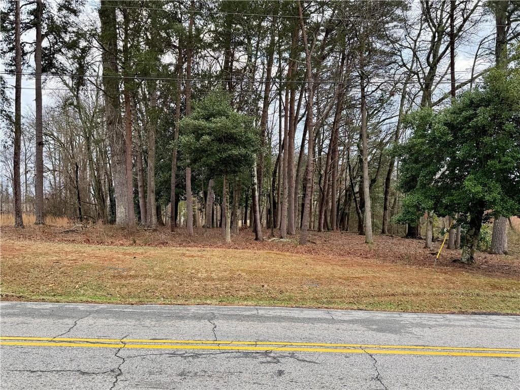 unimproved land for sale at 0 Academy Avenue, Dawsonville, GA 30534 — photo 1 of 4