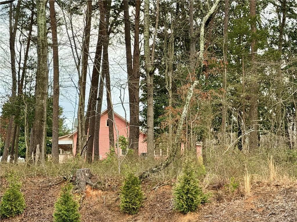 unimproved land for sale at 0 Academy Avenue, Dawsonville, GA 30534 — photo 3